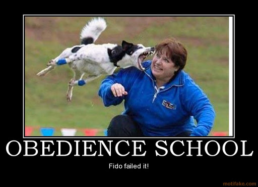 obedience-school-humor-funny-sex-texas-boner-obama-demotivational-poster-1210956625.jpg