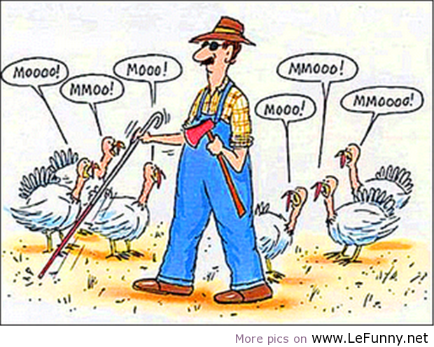 Funny-Thanksgiving-Picture.png