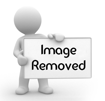 Pix Route Fast And Reliable Image Hosting